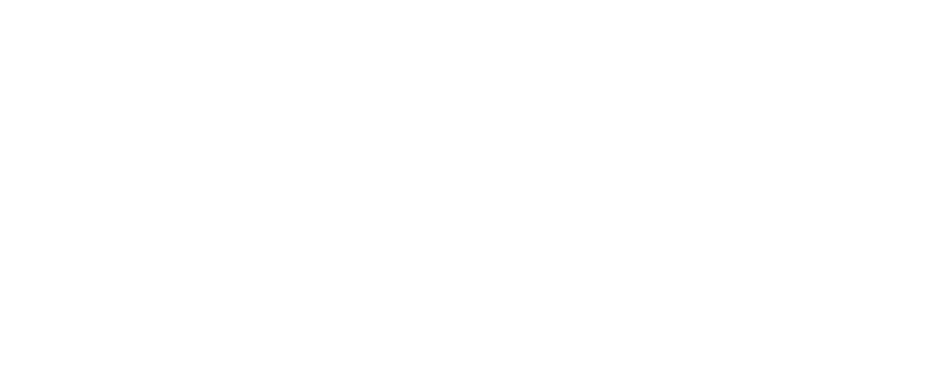 INTRANET